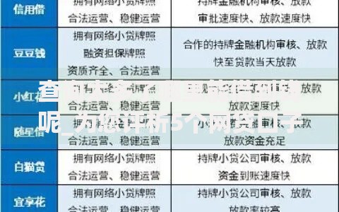查询太多了哪里能借到钱呢_为您评析5个网贷口子哪里能借钱借款