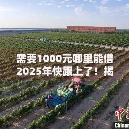 需要1000元哪里能借2025年快跟上了！揭秘​这5个贷款1000元网贷平台可以借