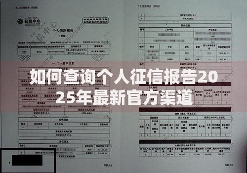 如何查询个人征信报告2025年最新官方渠道
