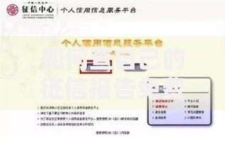 如何查自己的征信报告免费在线查询详细教程