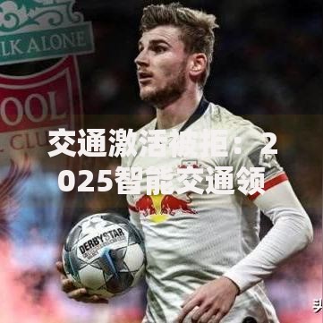 交通激活被拒：2025智能交通领域解决方案与应对策略