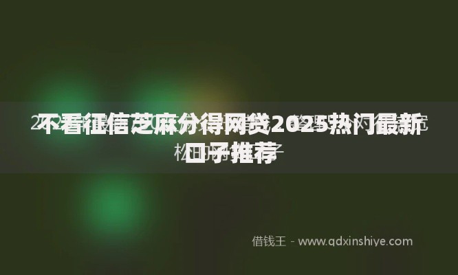 不看征信芝麻分得网贷2025热门最新口子推荐