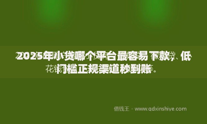 2025年小贷哪个平台最容易下款，低门槛正规渠道秒到账