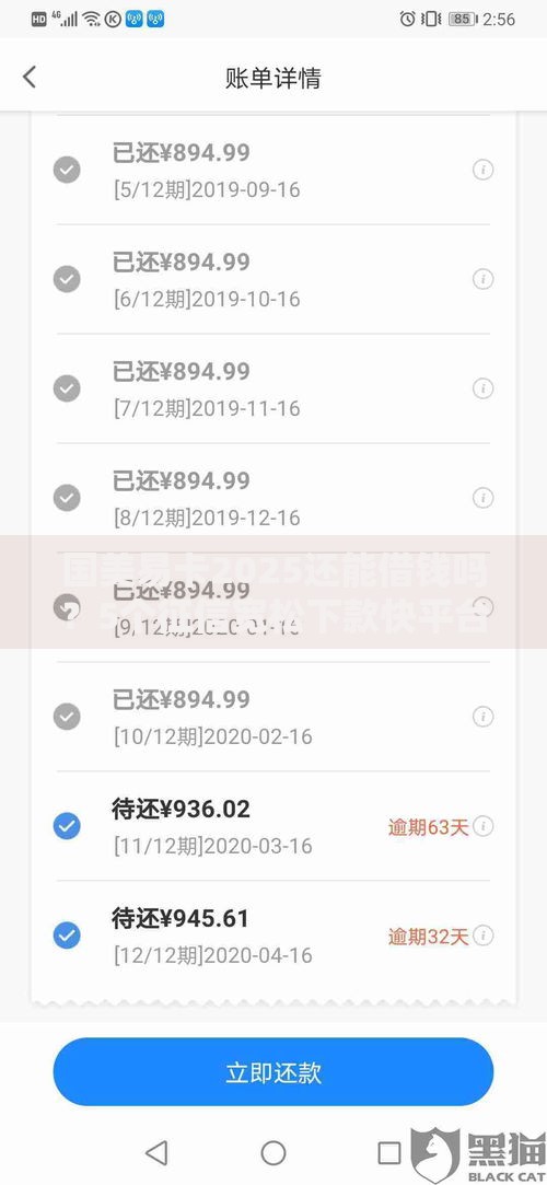 国美易卡2025还能借钱吗？5个征信宽松下款快平台推荐