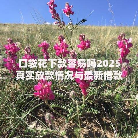 口袋花下款容易吗2025真实放款情况与最新借款技巧