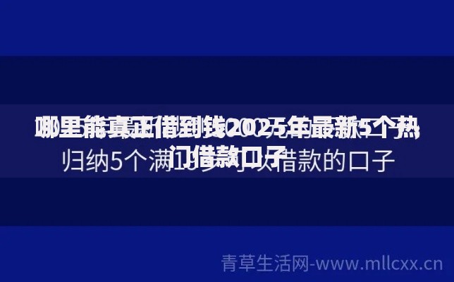 哪里能真正借到钱2025年最新5个热门借款口子