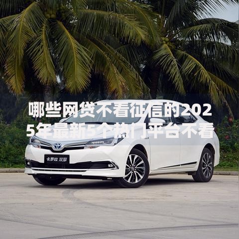 哪些网贷不看征信的2025年最新5个热门平台不看大数据不查负债