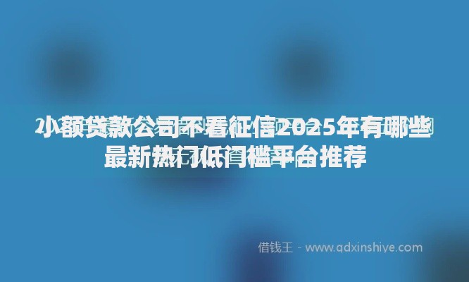小额贷款公司不看征信2025年有哪些最新热门低门槛平台推荐