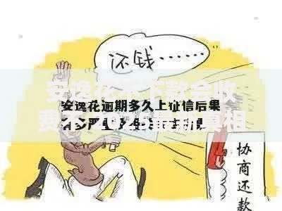 安逸花不下款会收费不 2025最新真相揭示避免被坑