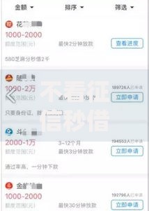 不看征信秒借五万2025最新平台哪个能稳到账