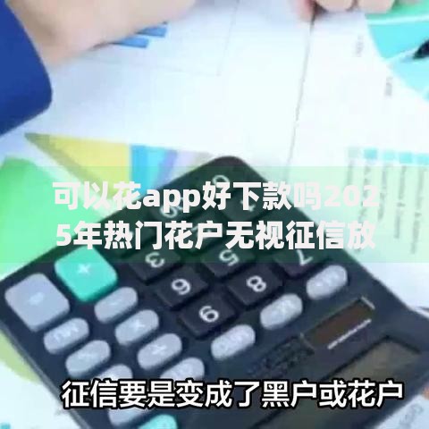 可以花app好下款吗2025年热门花户无视征信放水容易贷款平台