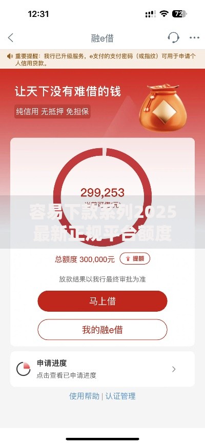 容易下款系列2025最新正规平台额度高申请简单