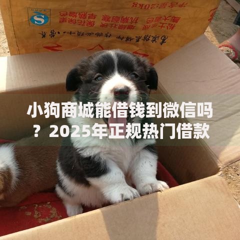 小狗商城能借钱到微信吗?2025年正规热门借款平台,无视黑白轻松下款 小狗商城能借钱到微信吗?2025年正规热门借款平台,无视黑白轻松下款