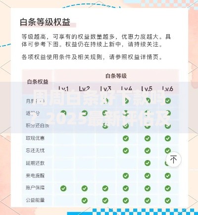 周周白条好下款吗?2025最新评估及申请指南 周周白条好下款吗?2025最新评估及申请指南