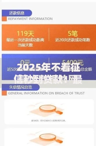 2025年不看征信秒到贷款：最新无视大数据借款平台推荐