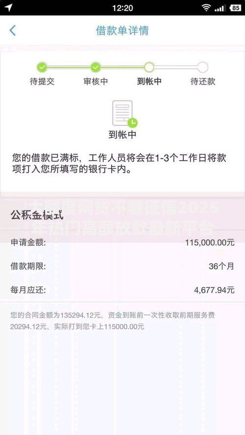 大额度网贷不看征信2025年热门高额放款最新平台推荐