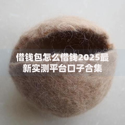 借钱包怎么借钱2025最新实测平台口子合集