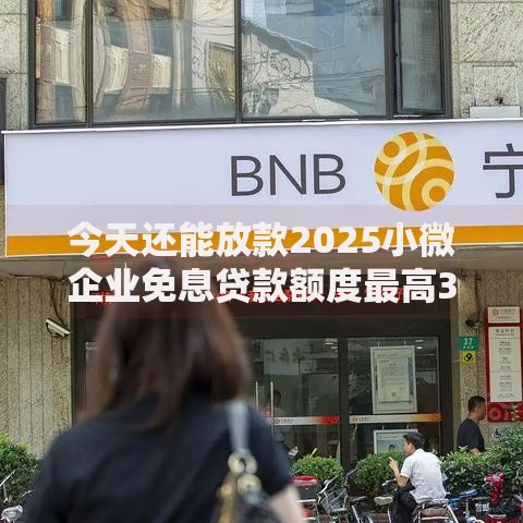 今天还能放款2025小微企业免息贷款额度最高300万