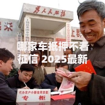 哪家车抵押不看征信 2025最新10大平台避坑指南
