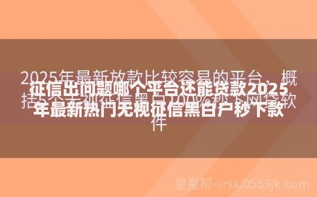 征信出问题哪个平台还能贷款2025年最新热门无视征信黑白户秒下款