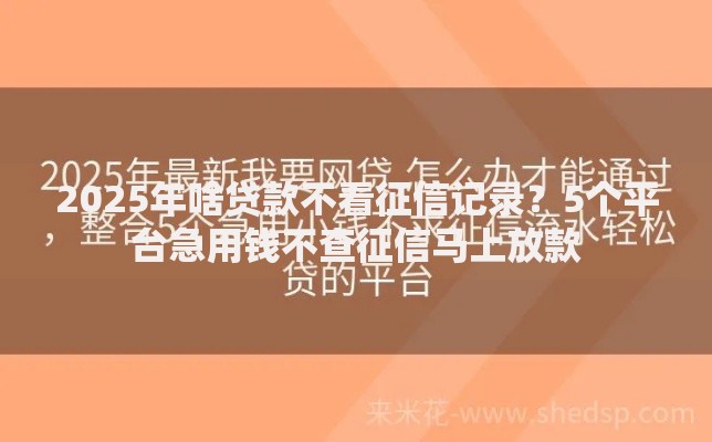 2025年啥贷款不看征信记录？5个平台急用钱不查征信马上放款