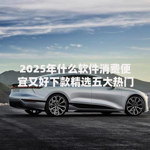 2025年什么软件消费便宜又好下款精选五大热门平台推荐
