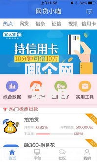 哪个网贷app好下款2025最新10大秒批平台