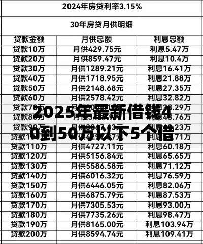 2025年最新借钱40到50万以下5个借钱平台额度大利息低靠谱 2025年最新借钱40到50万以下5个借钱平台额度大利息低靠谱