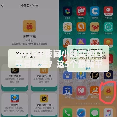 2025年夜间小额高炮口子有哪些？这5个最新平台依旧稳定放款