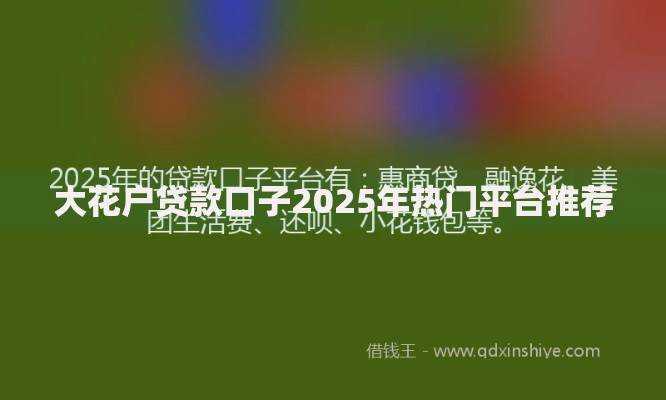 大花户贷款口子2025年热门平台推荐
