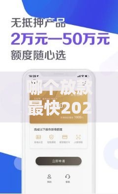 哪个放款最快2025年热门口子盘点秒下款不看征信