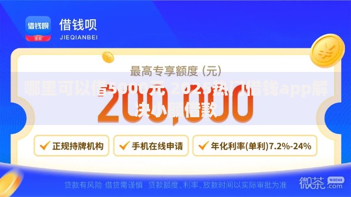 哪里可以借5000元 2025热门借钱app解决小额借款