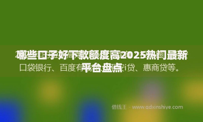 哪些口子好下款额度高2025热门最新平台盘点 哪些口子好下款额度高2025热门最新平台盘点