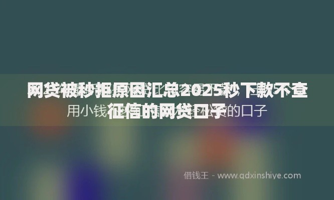 网贷被秒拒原因汇总2025秒下款不查征信的网贷口子