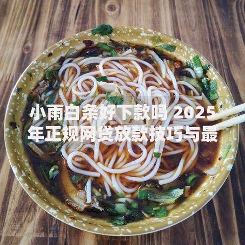 小雨白条好下款吗 2025年正规网贷放款技巧与最新征信政策解析 小雨白条好下款吗 2025年正规网贷放款技巧与最新征信政策解析