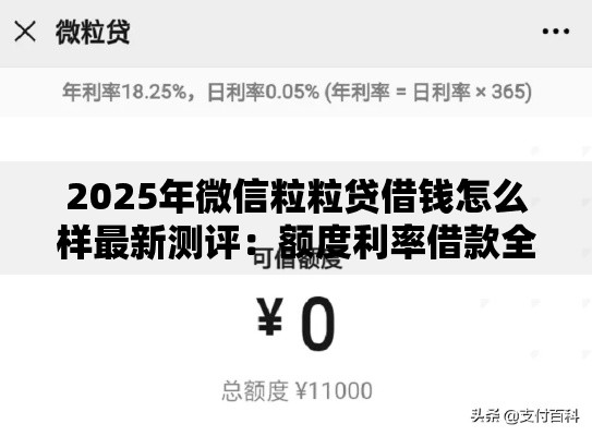2025年微信粒粒贷借钱怎么样最新测评：额度利率借款全解析