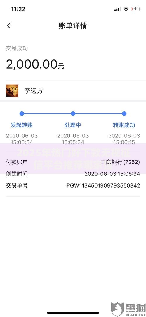2025年热门好下款无视征信平台推荐哪家强