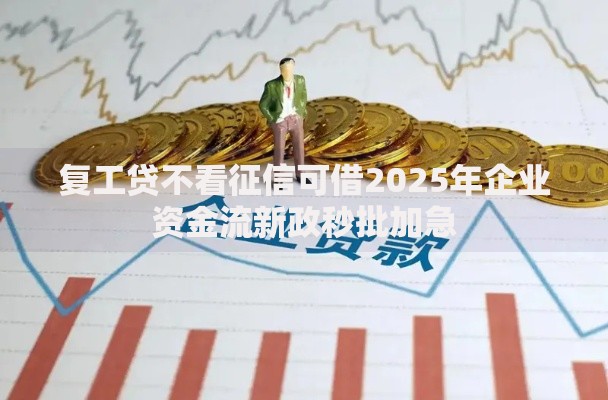 复工贷不看征信可借2025年企业资金流新政秒批加急
