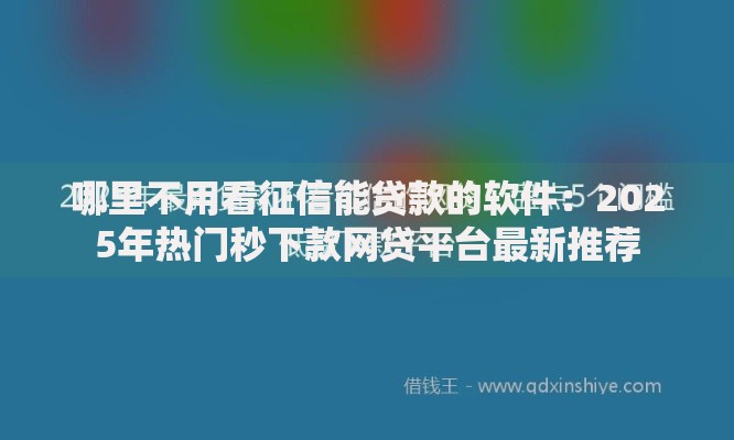 哪里不用看征信能贷款的软件：2025年热门秒下款网贷平台最新推荐