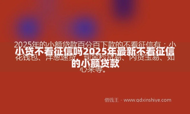 小贷不看征信吗2025年最新不看征信的小额贷款