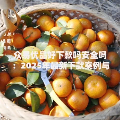 众易优品好下款吗安全吗：2025年最新下款案例与资质解析