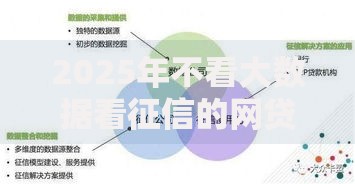 2025年不看大数据看征信的网贷5大最新热门平台详细测评指南