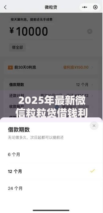 2025年最新微信粒粒贷借钱利息全解析：日利率、计算方式与省钱技巧