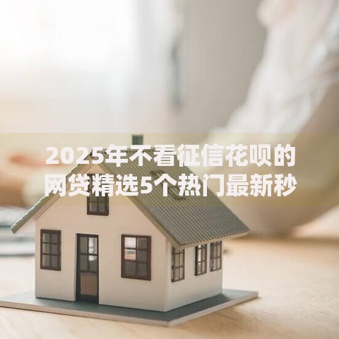 2025年不看征信花呗的网贷精选5个热门最新秒下款平台