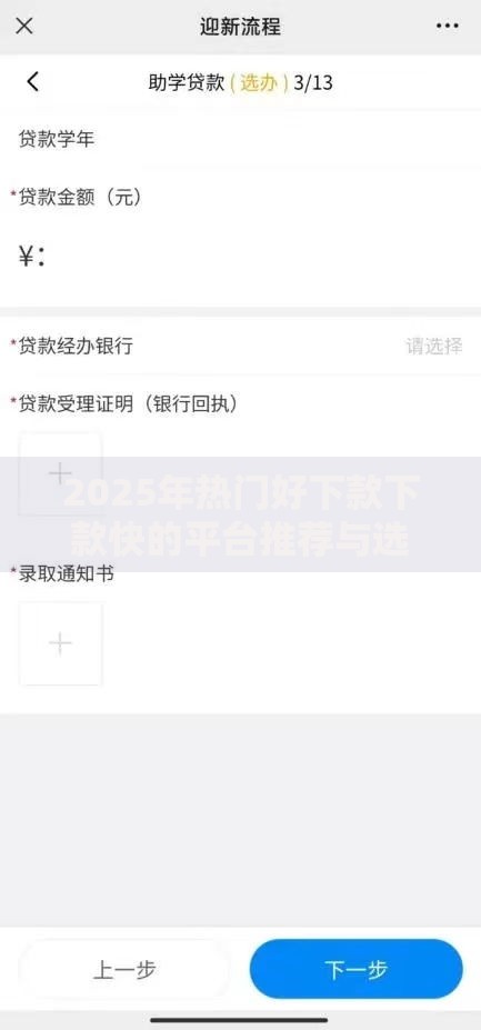 2025年热门好下款下款快的平台推荐与选择指南