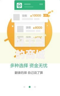 好下款的商城贷款2025年最热门平台哪些容易借到钱