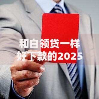 和白领贷一样好下款的2025年最新必下款口子