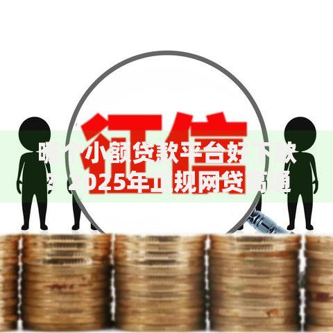 哪个小额贷款平台好下款?2025年正规网贷高通过率平台 哪个小额贷款平台好下款?2025年正规网贷高通过率平台