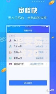 平安易贷2025年好下款吗最新5大热门APP轻松借