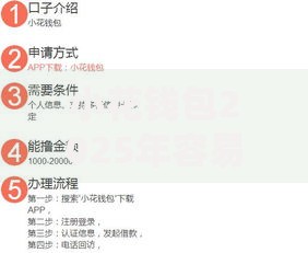 小花钱包2025年容易下款：征信花负债高也能秒批